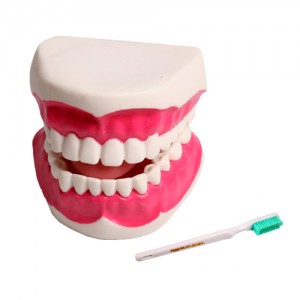 ��ǰ ������